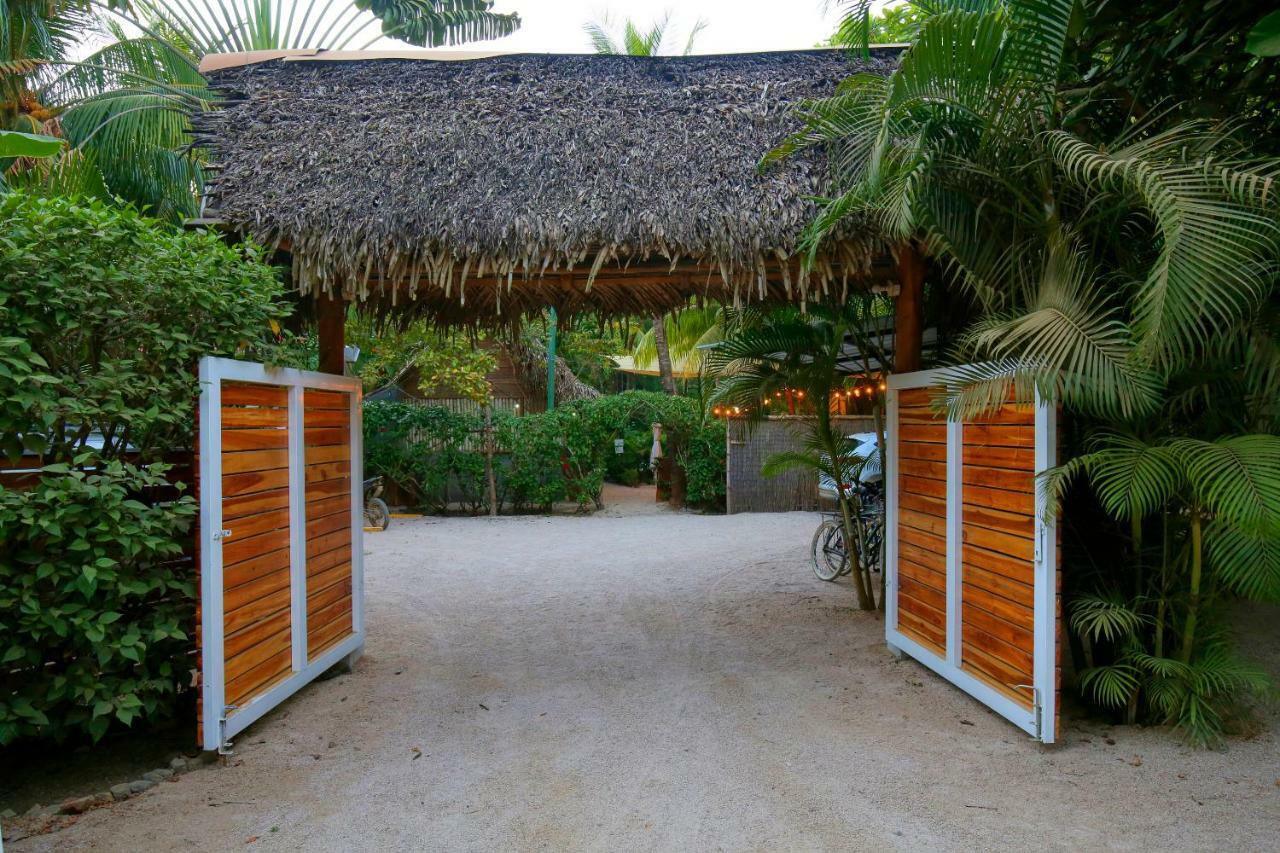 Living Hotel Nosara Extérieur photo